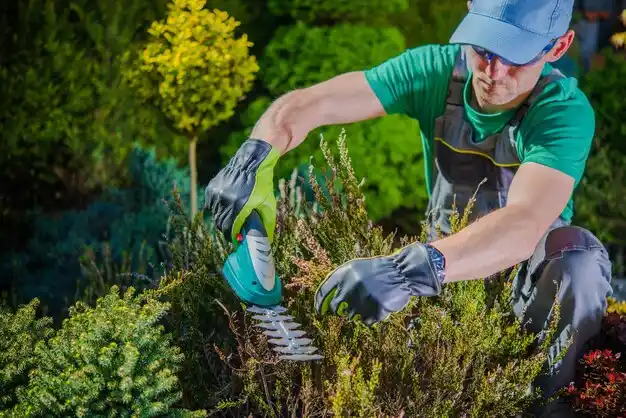 landscaping services Toledo
